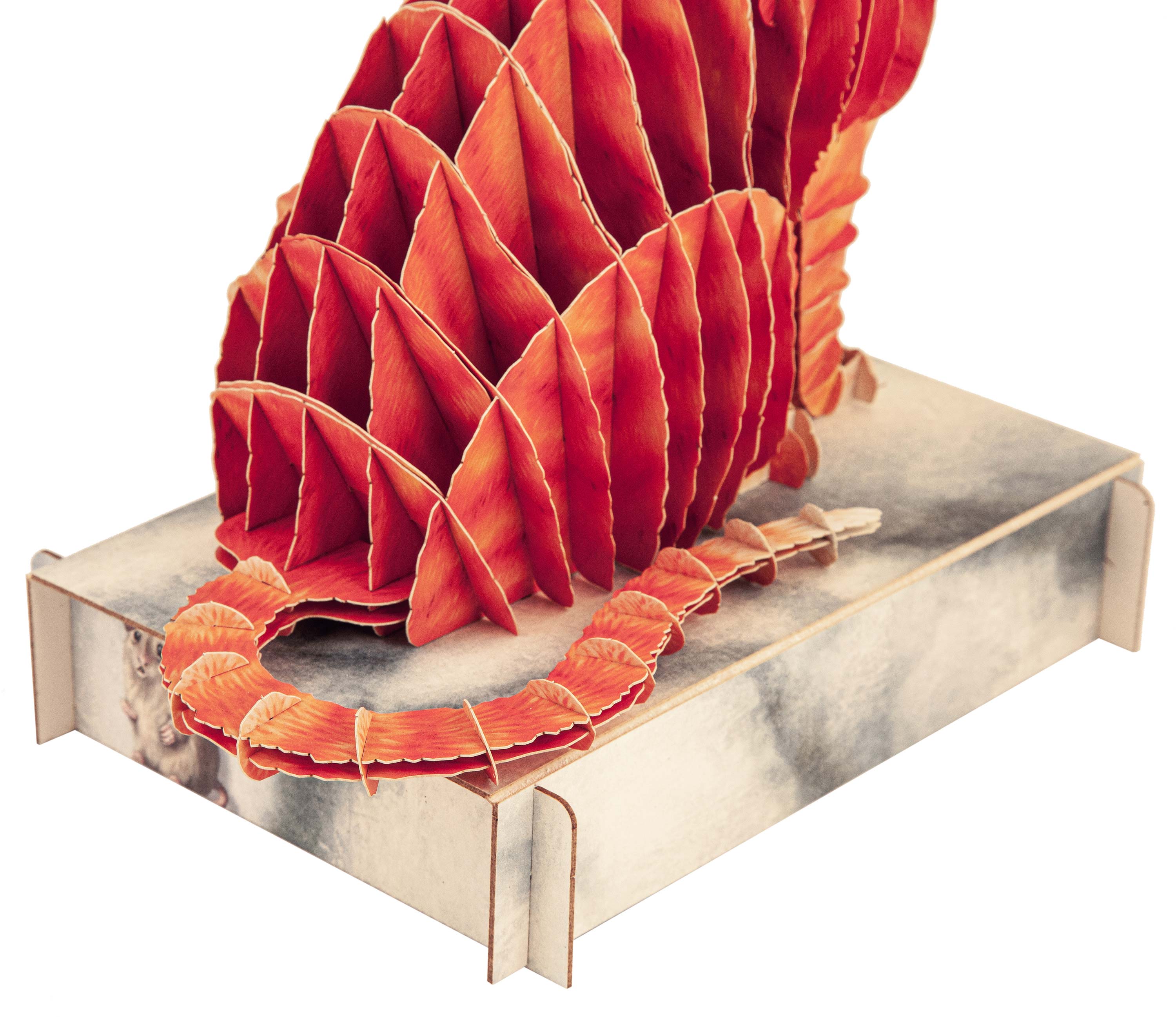 Katze Kater Steckfigur aus Karton, zum Basteln, Spielzeug für Kinder, Tiersteckfigur aus Karton, Haustier, Hauskatze, niedliche Katzen, Katze zum Basteln, Kurzharrkatze, Puzzle und Rätselspiele, Dekoidee, Bastelideen für Kinder, Kinderzimmer, Spielzimmer