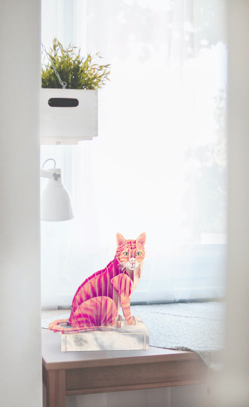 Katze Kater Steckfigur aus Karton, zum Basteln, Spielzeug für Kinder, Tiersteckfigur aus Karton, Haustier, Hauskatze, niedliche Katzen, Katze zum Basteln, Kurzharrkatze, Puzzle und Rätselspiele, Dekoidee, Bastelideen für Kinder, Kinderzimmer, Spielzimmer