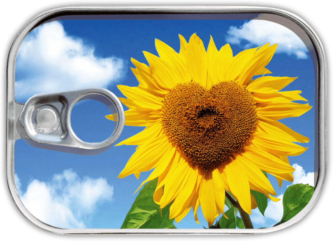 Dosenpost 4er Set "Special" - Gespänsterwald