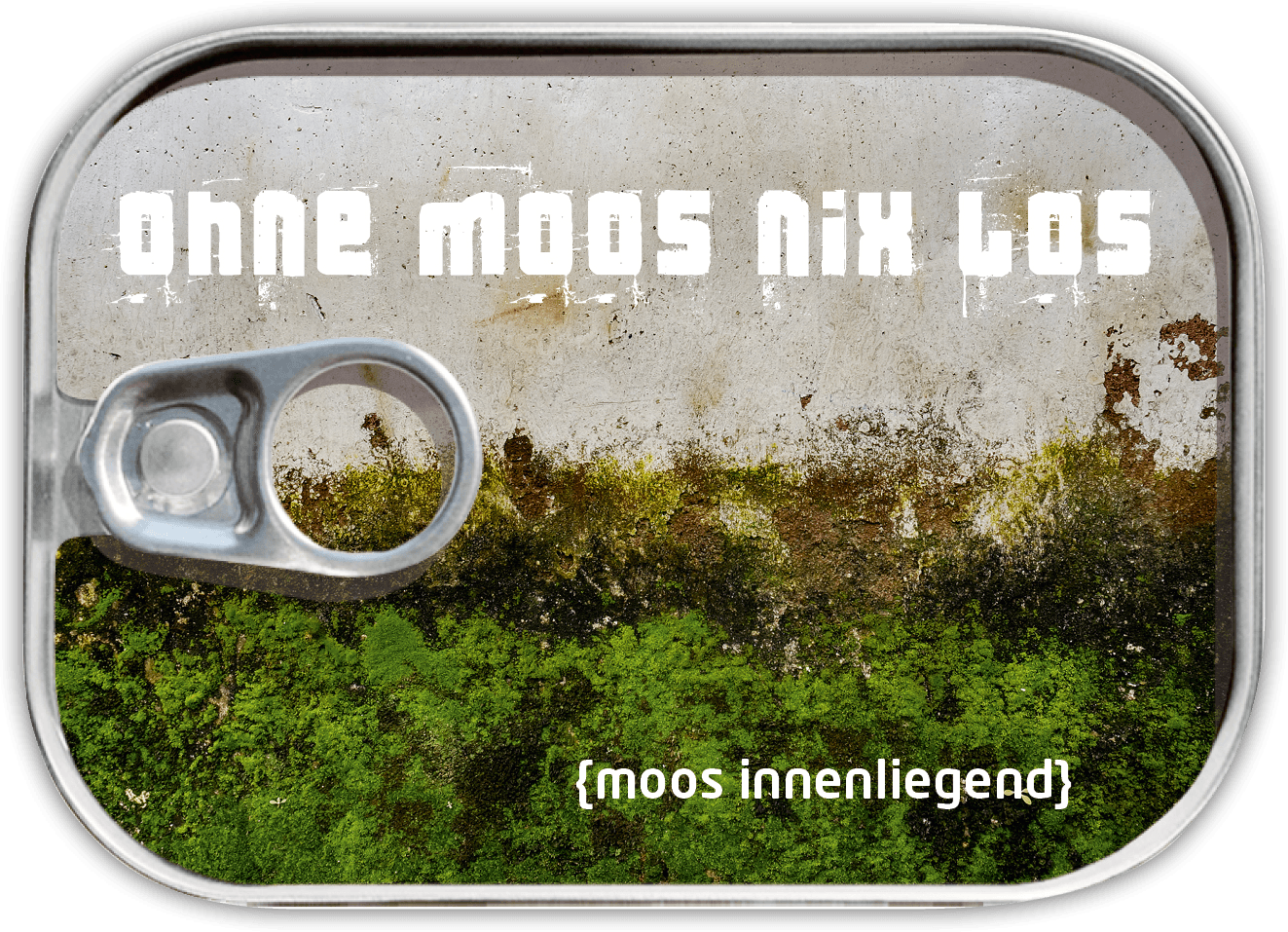 Dosenpost 4er Set "Geldgeschenk II" - Gespänsterwald