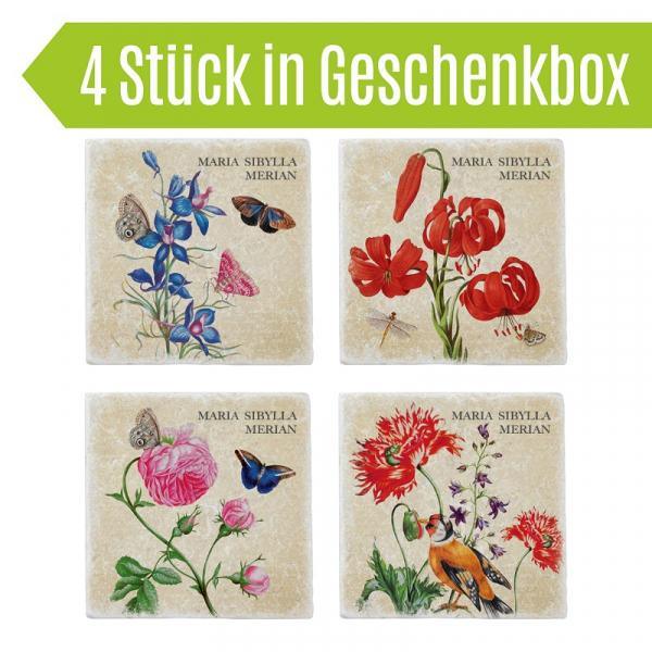 Untersetzer aus Marmor 4er Set "Merian" - Gespänsterwald