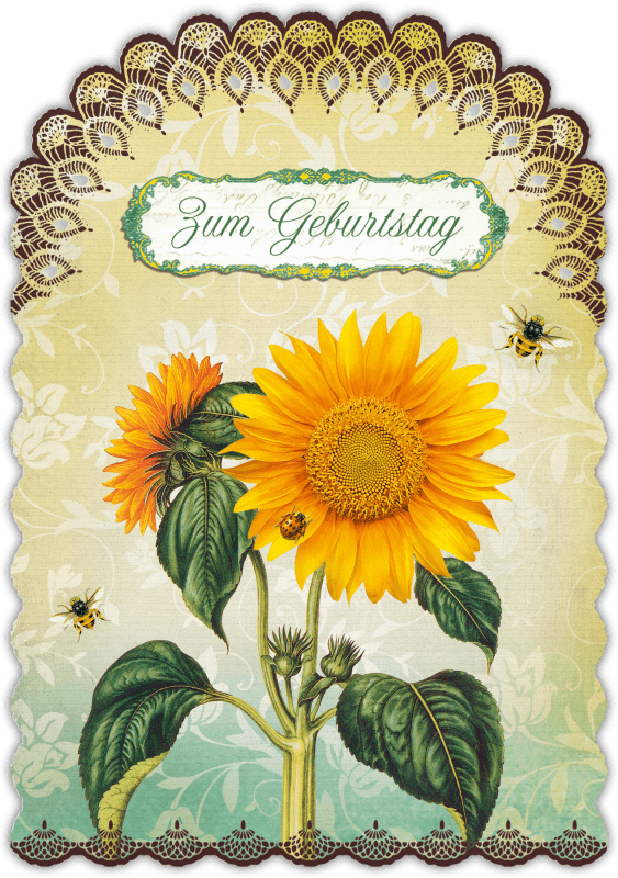 Glückwunschkarte Romantique 4er Set "Geburtstag" - Gespänsterwald