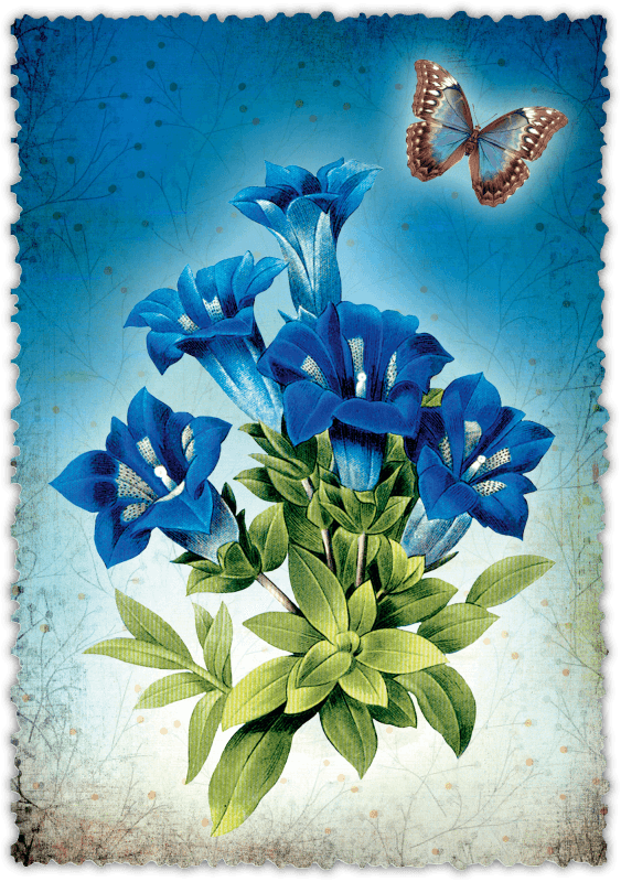 Glückwunschkarte Romantique 4er Set "Geburtstag" - Gespänsterwald