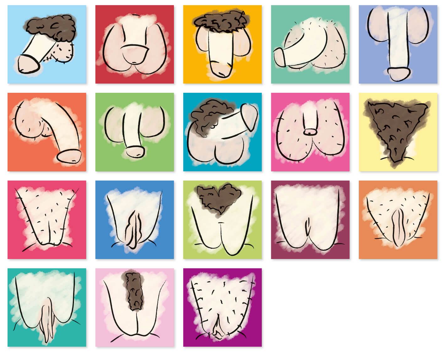 Memo-Spiel "Genitals"