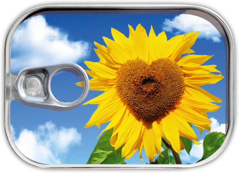 Dosenpost "Sonnenblume"