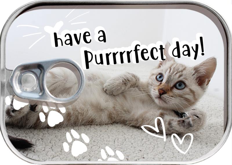 Dosenpost "Have a Purrrfect day"