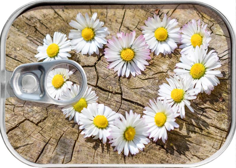 Dosenpost "Herz Gänseblümchen"