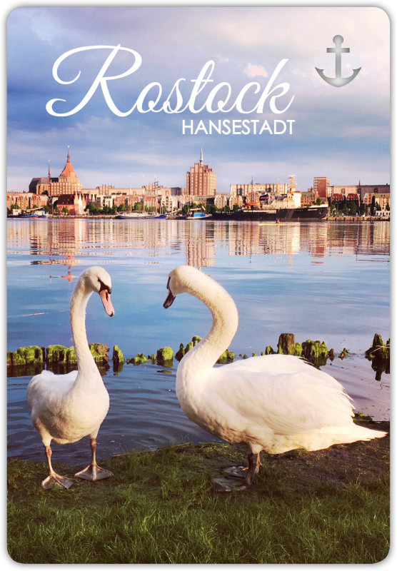 Postkarte unser Finne Rostock Stadtansicht Schwaene