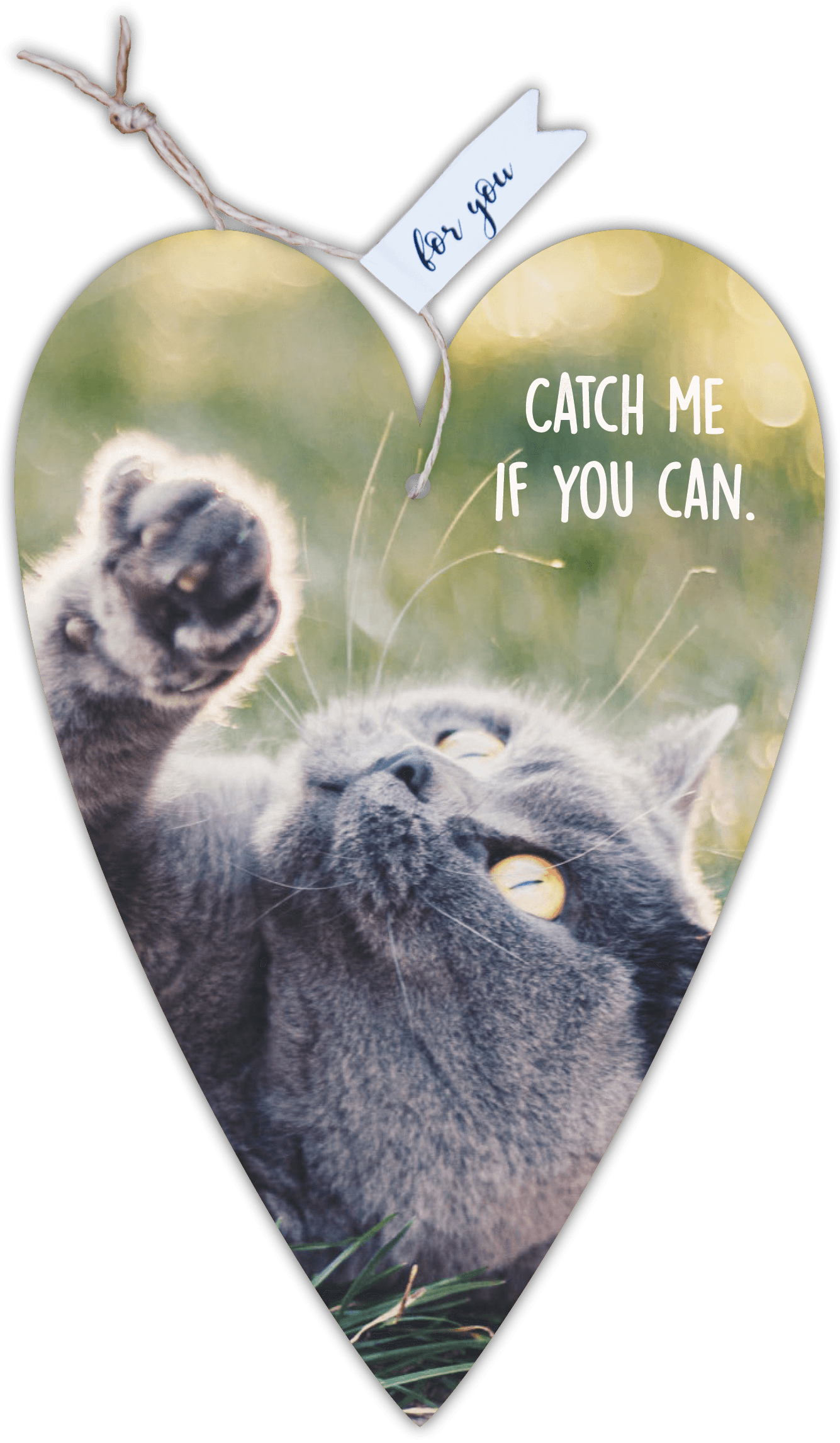Herzkarte unser Finne "Catch me if …"