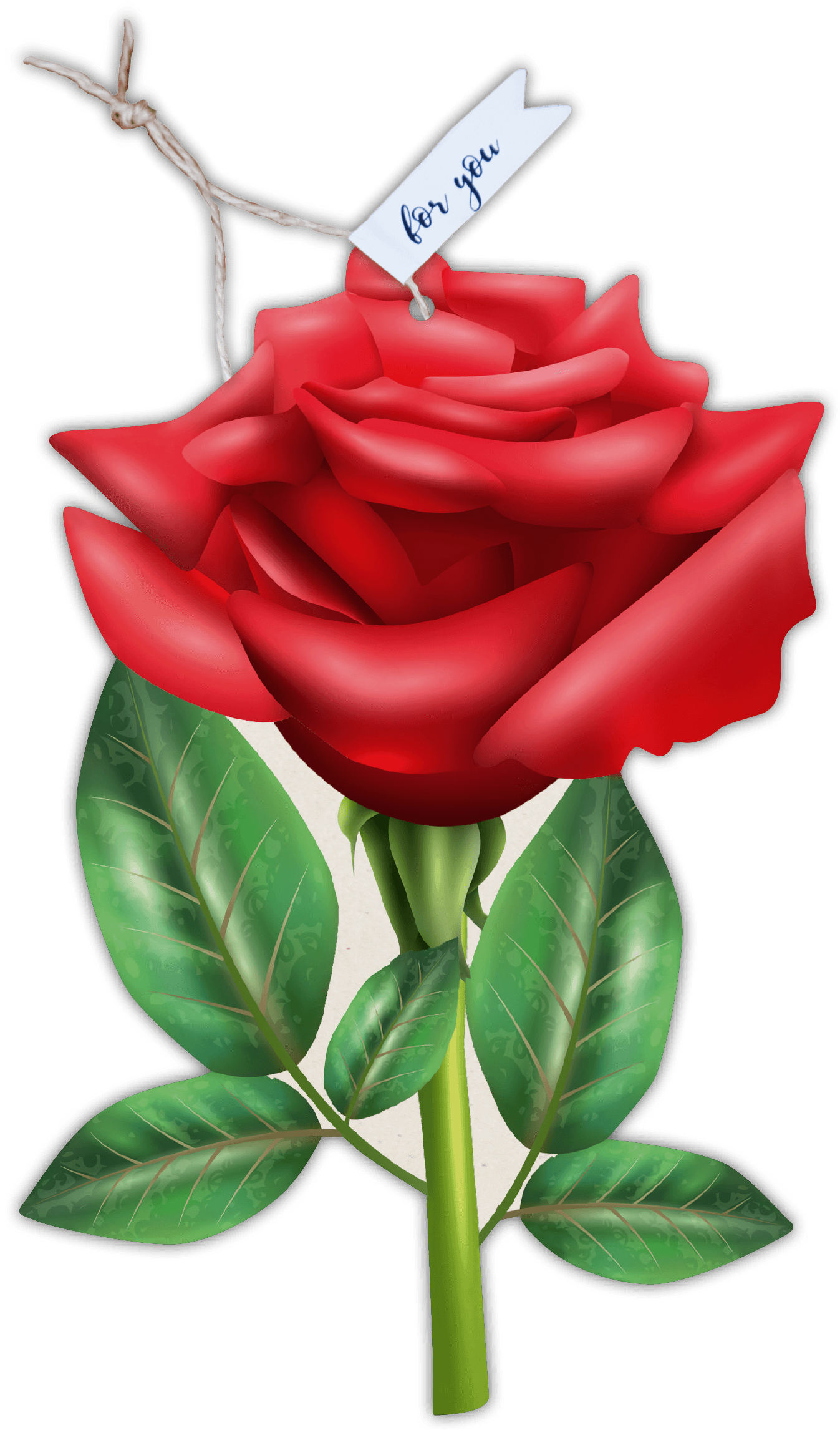 Formkarte unser Finne "Rose"