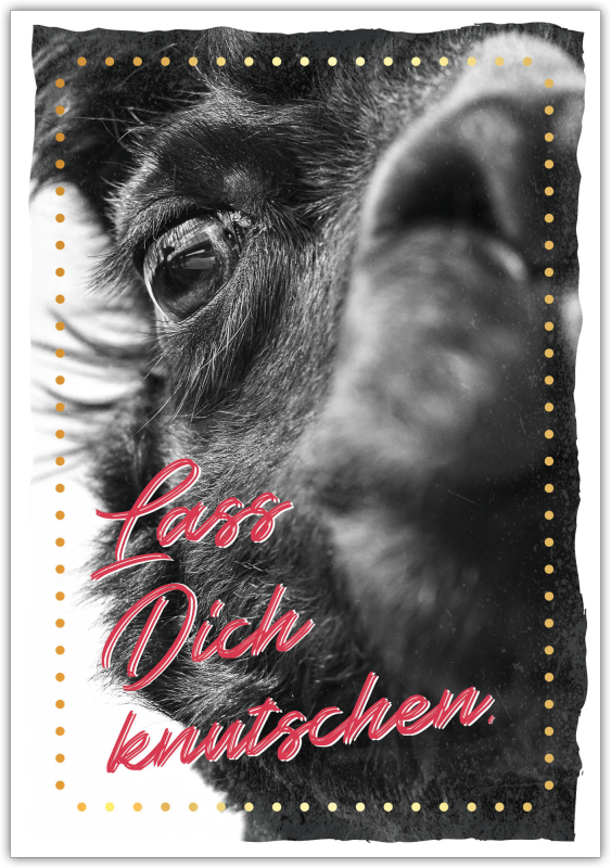 Postkarte Happy Words "Lass Dich knutschen"