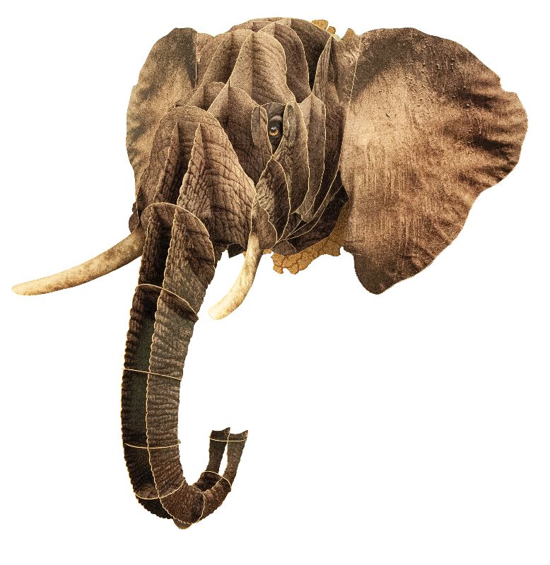 3D Tierkopf "Elefant"