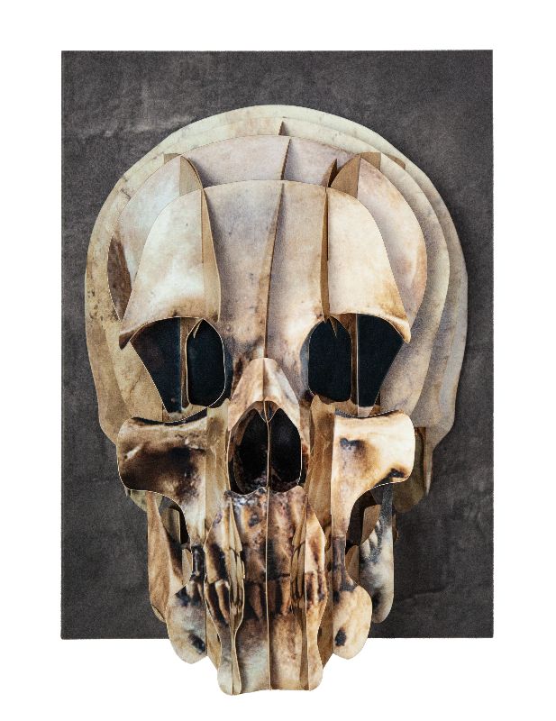 3D Tierkopf "Schädel"