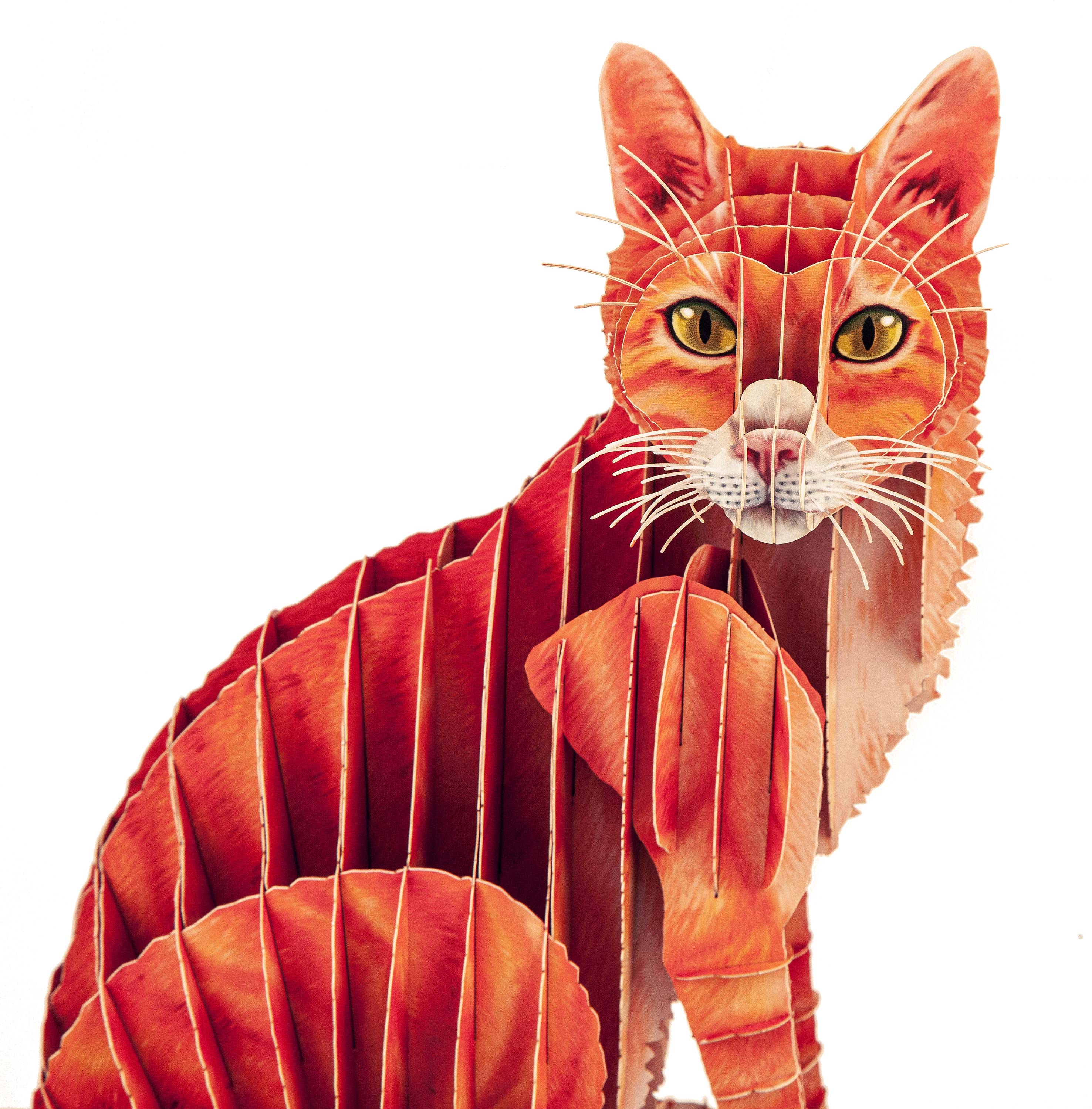 Katze Kater Steckfigur aus Karton, zum Basteln, Spielzeug für Kinder, Tiersteckfigur aus Karton, Haustier, Hauskatze, niedliche Katzen, Katze zum Basteln, Kurzharrkatze, Puzzle und Rätselspiele, Dekoidee, Bastelideen für Kinder, Kinderzimmer, Spielzimmer