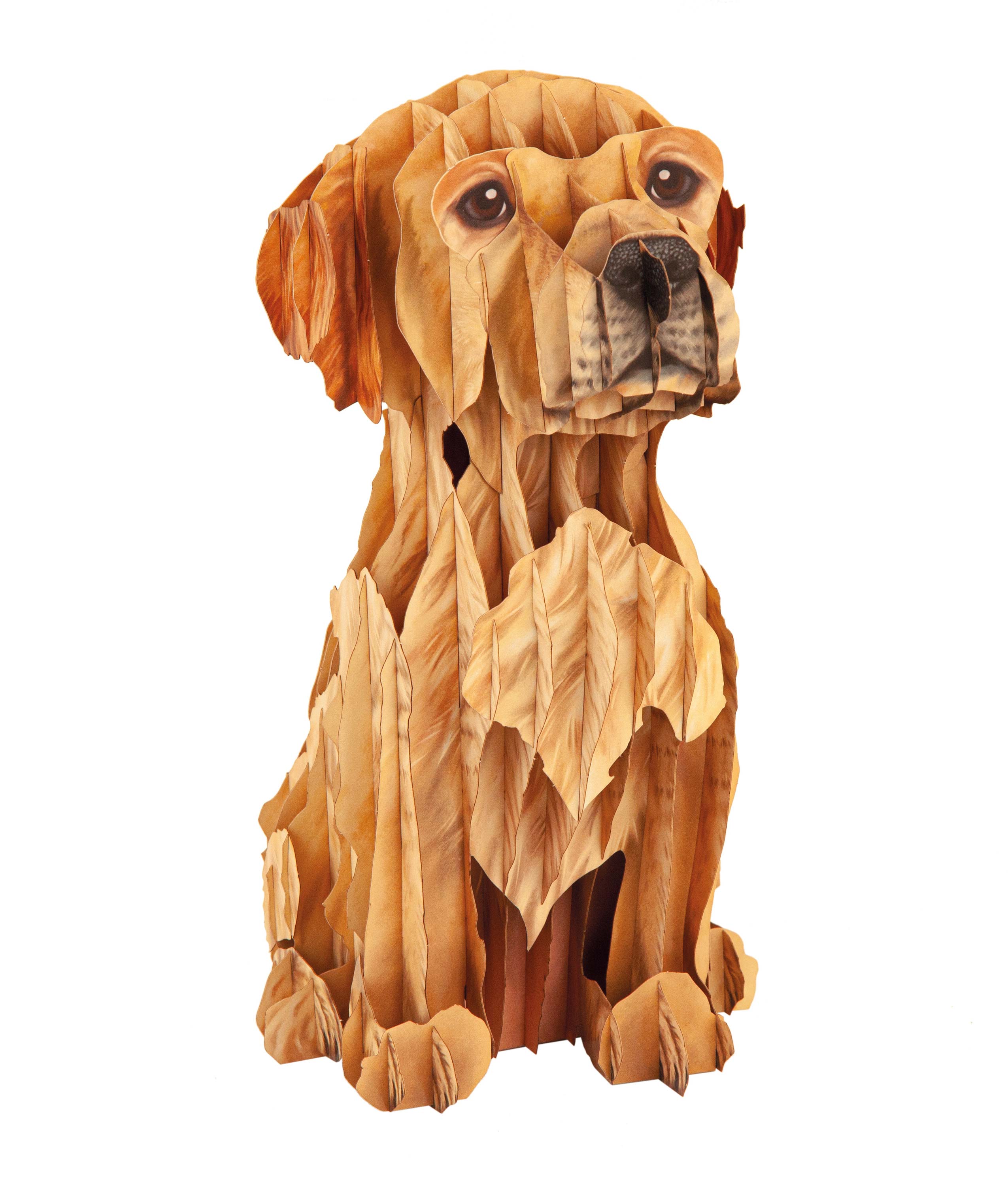 Hund Welpe Steckfigur aus Karton, zum Basteln, Spielzeug für Kinder, Tiersteckfigur aus Karton, Haustier, Golden Retriever, Labrador, Puzzle und Rätselspiele, Dekoidee, Bastelideen für Kinder, Kinderzimmer, Spielzimmer