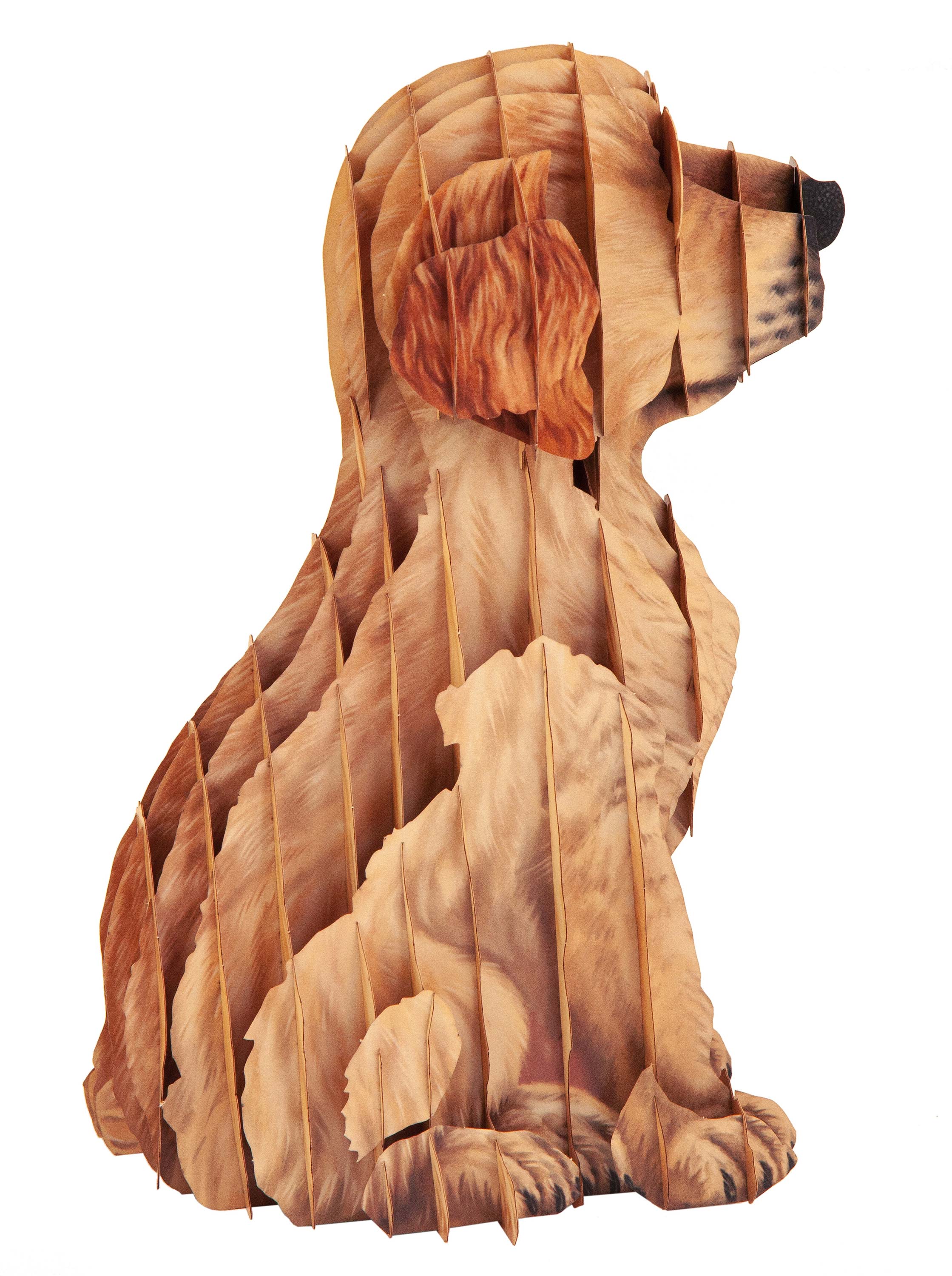 Hund Welpe Steckfigur aus Karton, zum Basteln, Spielzeug für Kinder, Tiersteckfigur aus Karton, Haustier, Golden Retriever, Labrador, Puzzle und Rätselspiele, Dekoidee, Bastelideen für Kinder, Kinderzimmer, Spielzimmer