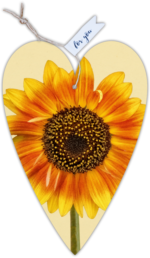 Herzkarte unser Finne "Sonnenblume"