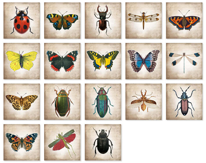 Memo-Spiel "Vintage Beetles & Butterflys"